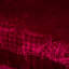 Couverture Gorsuch-1389336204