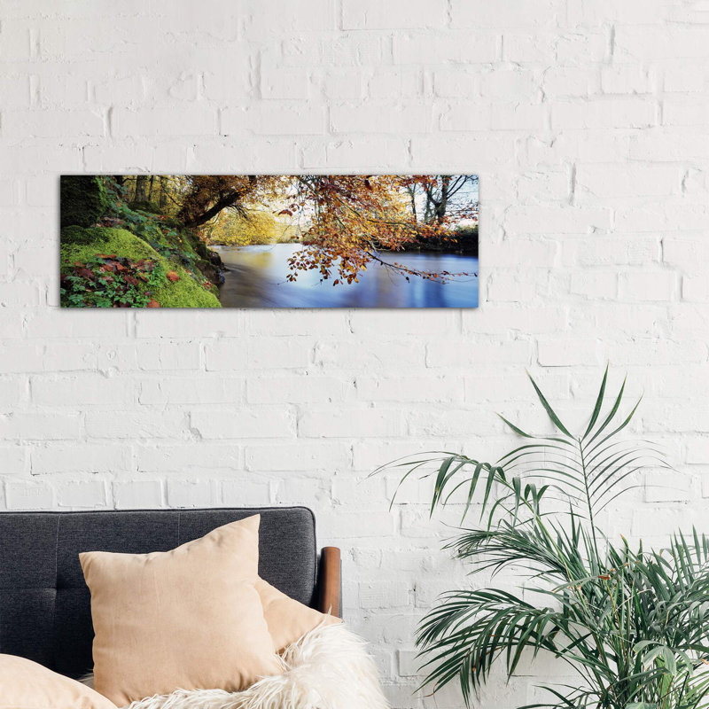 Trees Along A River River Dart, Bickleigh, Mid Devon, Devon, England by Panoramic Images - Wrapped Canvas Panoramic Print