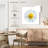Harnek White Chamomile Flower