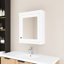 Pharmacie murale 24 po x 27 po avec miroir-1203187324