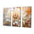Toile tendue