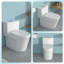 Toilette monobloc en céramique pour la salle de bain, 12 pouces, 1,24 / 1,43 GPF, double chasse avec siège à fermeture en douceur, double chasse puissante CARTE 800G
