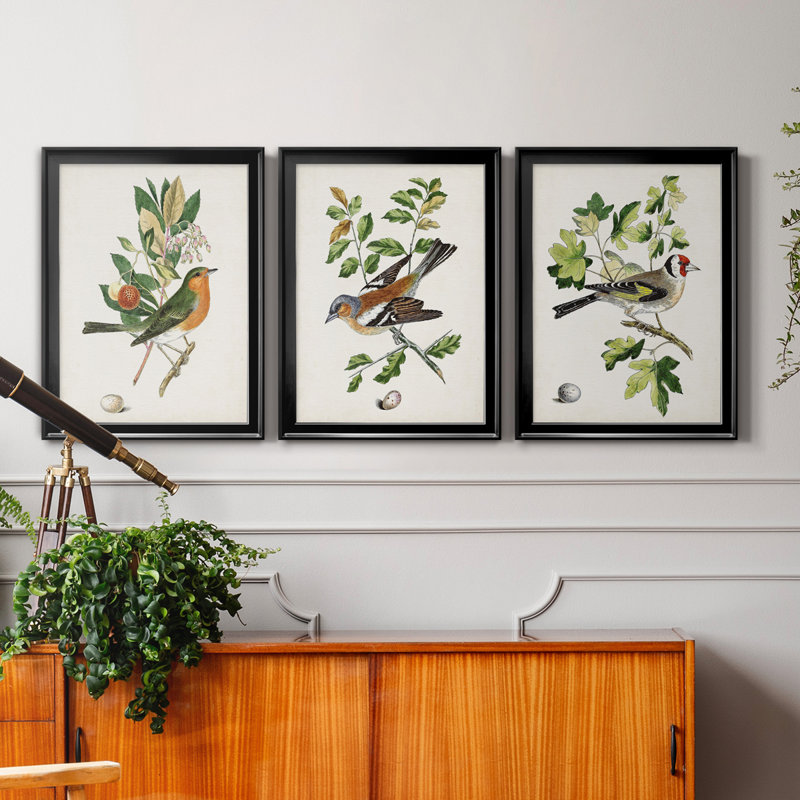 Oiseau antique, botanique et œuf I - ensemble de 3 peintures sur toile encadrées, H 18,5 po x l 73,5 po x P 1,5 po