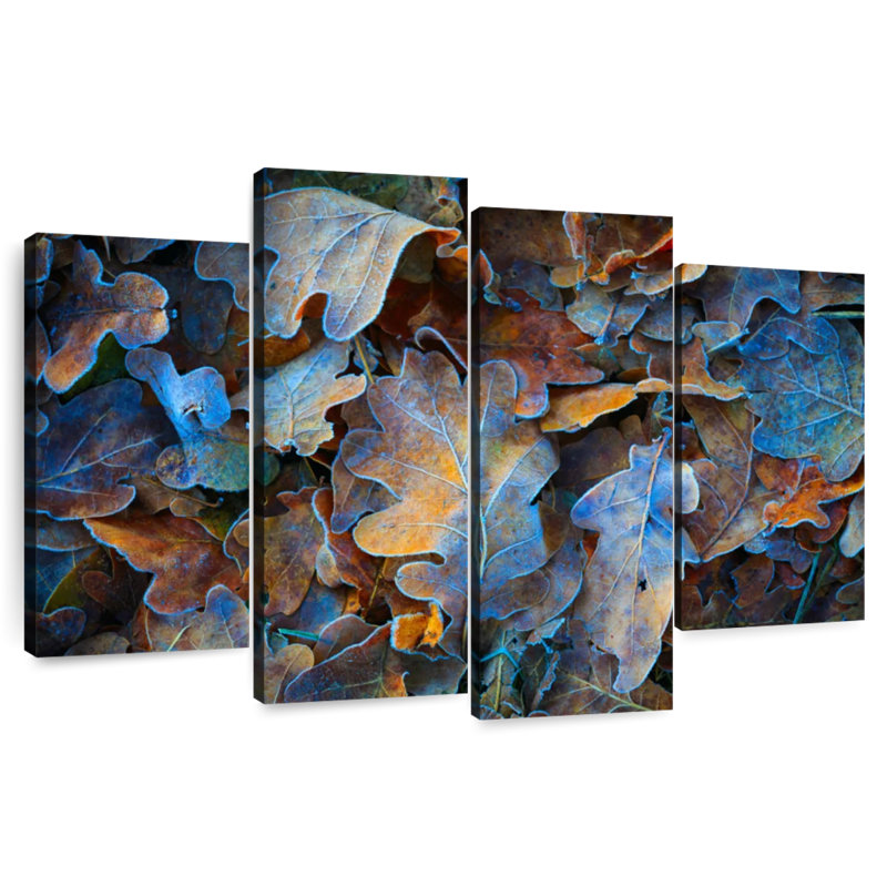 Harnek Frozen Autumn Leaves I, H 48 po x l 75 po