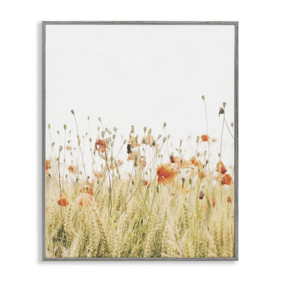 Az-316, impression de coquelicots encadrée