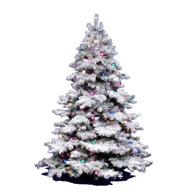 Alaskan 12' Lighted Pine Christmas Tree