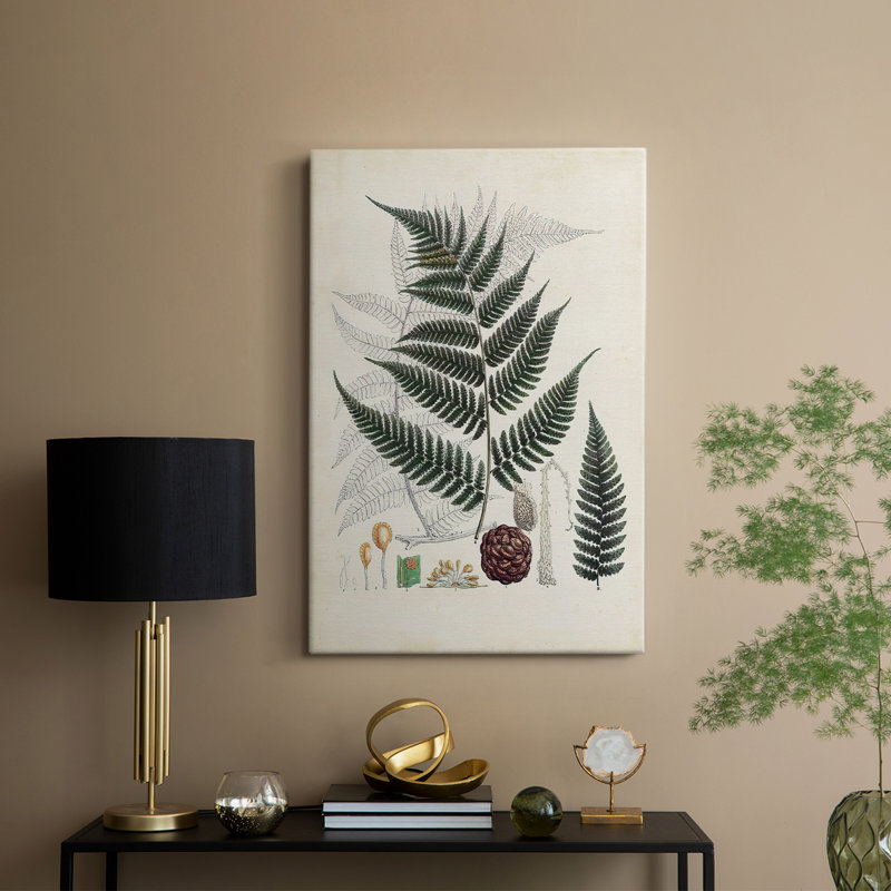 Collectionné fougères VI - galerie Cavas sur mesure, H 27 po x l 18 po