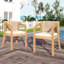 2 chaises d'extérieur en bois avec assise et dossier moelleux antidérapants