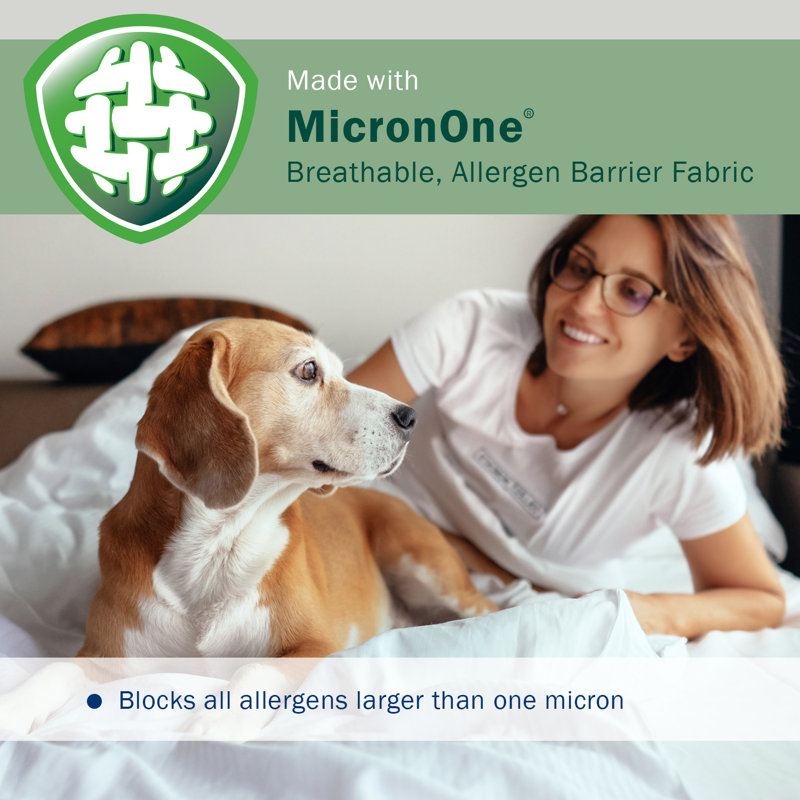 Box Spring Cover, King