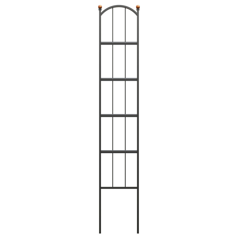 150cm H x 28cm W Metal Arched Trellis