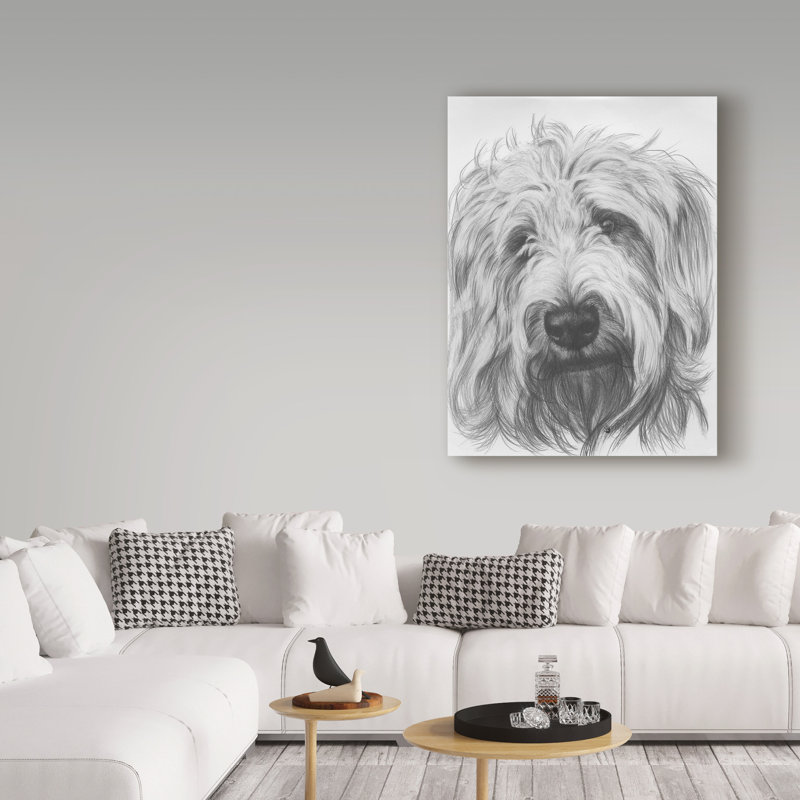 Publicité rétro sur toile tendue Adelphi «Labradoodle», H 32 po x l 24 po