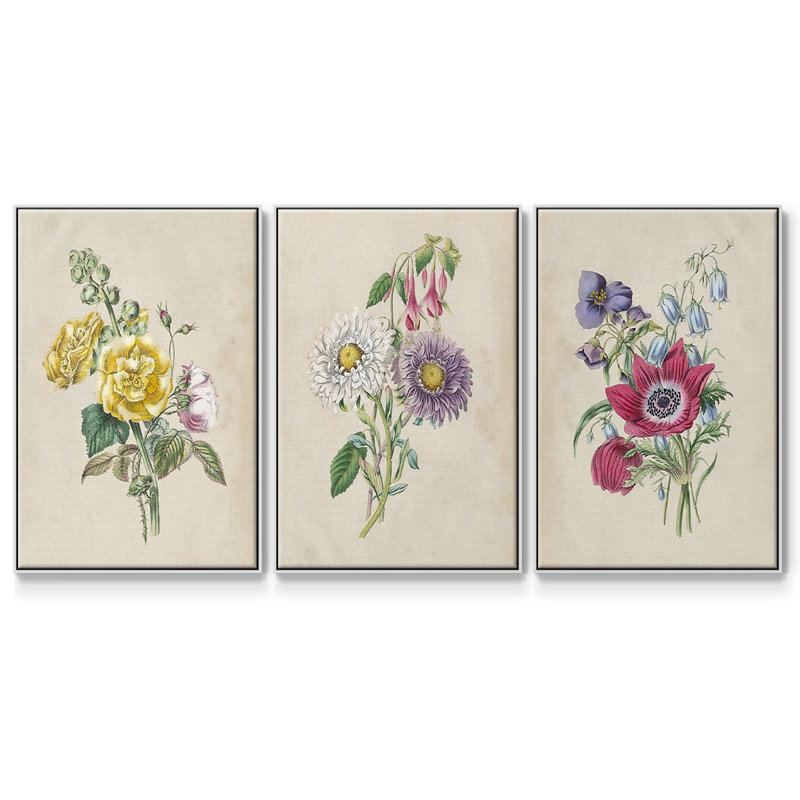 Antique Garden Bouquet I, ensemble de 3 toiles encadrées, H 27 po x l 54 po, Blanc