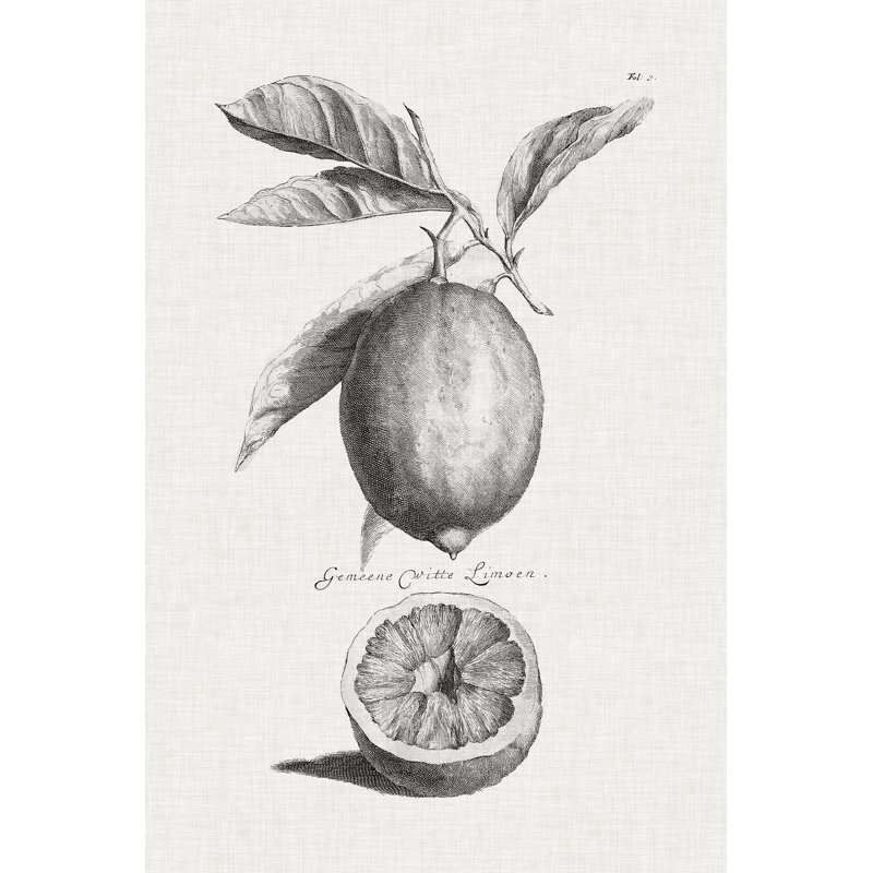 Antique Lemons And Oranges I - Graphic Art, 91cm H x 61cm W, Wrapped Canvas
