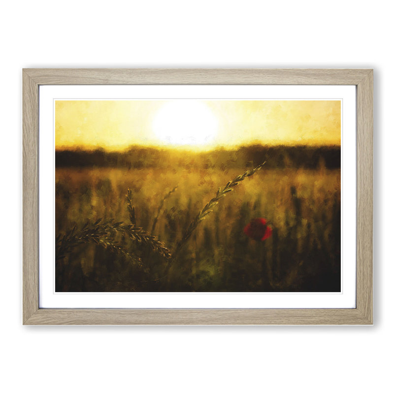 Poppy in a Meadow - Framed Print, 36cm H x 48cm W x 2cm D, Oak Framed