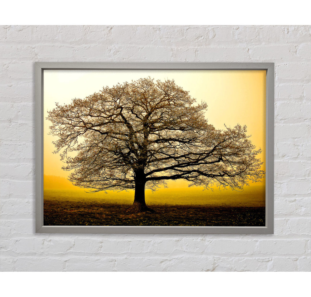 Beautiful Dusk Tree - Closed Corner Frame Kunstdruck auf