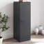 Alyda Steel Accent Cabinet-893228390