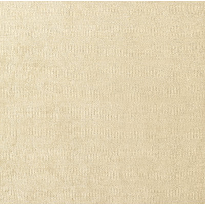 Glimmer Fabric
