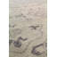 Tapis unique en beige / ivoire / argent 8 pi 1 po x 9 pi 11 po
