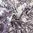 Au Village Toile Drapery Panels - Pair