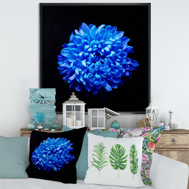 Aster bleu avec gouttes de rosée - photographie sur toile, Toile avec cadre noir, H 16 po x l 16 po x p 1 po