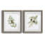 Winter Botanical III - ensemble de 2 reproductions d'art-1084665594-1084665596-1084665357