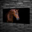 Brown Horse - Wrapped Canvas Print