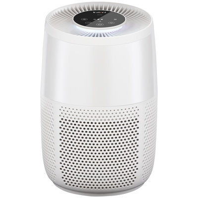 Instant Air Purifier with True HEPA