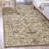 Benson Oriental Indoor Rug