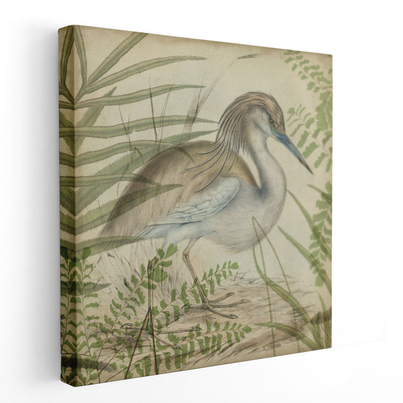 Heron & Ferns II - reproduction d'art sur toile, H 40 po x l 40 po