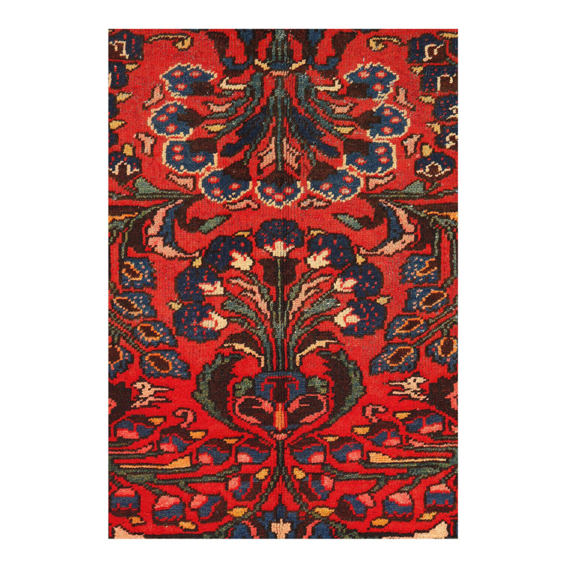 Tapis oriental rouge / noir en coton / laine 4 pi 4 po x 6 pi 5 po Alissah