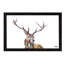 Hamish by Becksy - Floater Frame Painting on Canvas-159114475-159114474