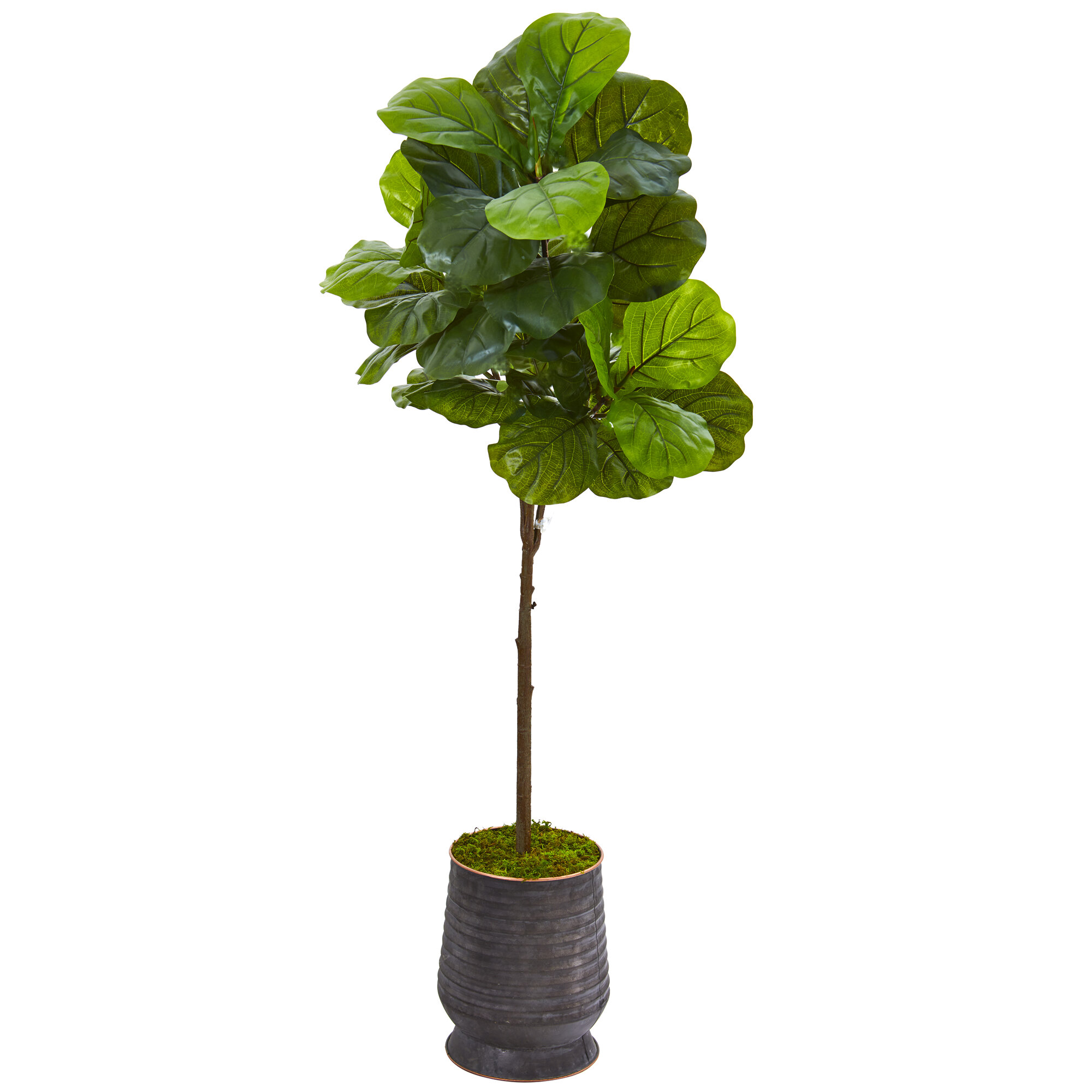 Gracie Oaks 62'' Faux Fiddle Leaf Fig Tree In Metal Planter 