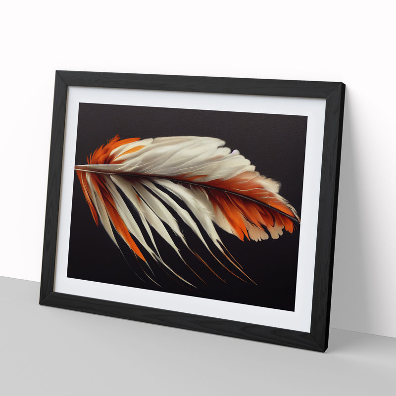 Bird Feather - Single Picture Frame Print, Black Framed, 25cm H x 34cm W x 2cm D