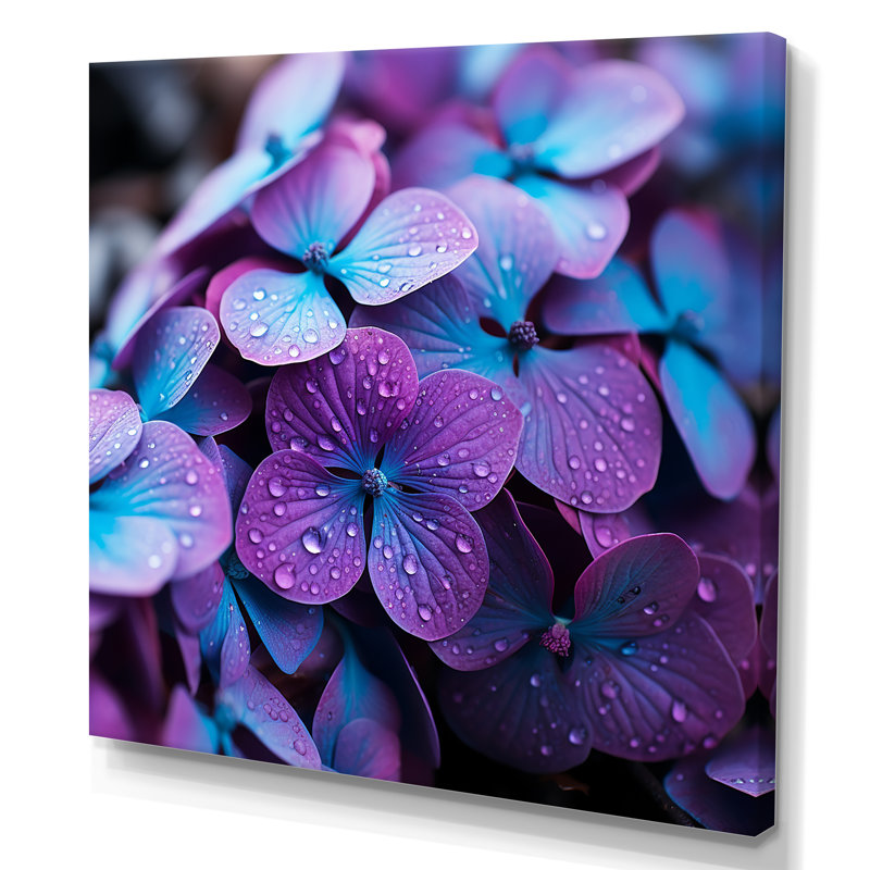 Purple Hydrangea Flowers Harmony II - Hydrangea Wall Art, 36" H x 36" W x 1.5" D, Wrapped Canvas