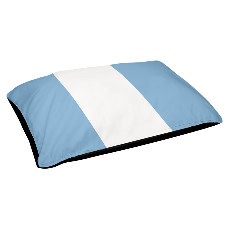 Coussin d'extérieur pour chien Florida Tribe, Grand (l 40 po x P 30 po x H 6,5 po), Bleu bébé / blanc / bleu bébé