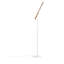 Type A LED Arched Floor Lamp-61733796-61733797