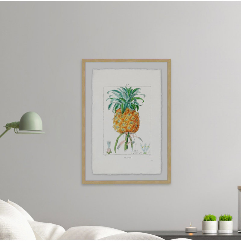 Botanical Pineapple - Single Picture Frame Print, 61 cm H x 41 cm W
