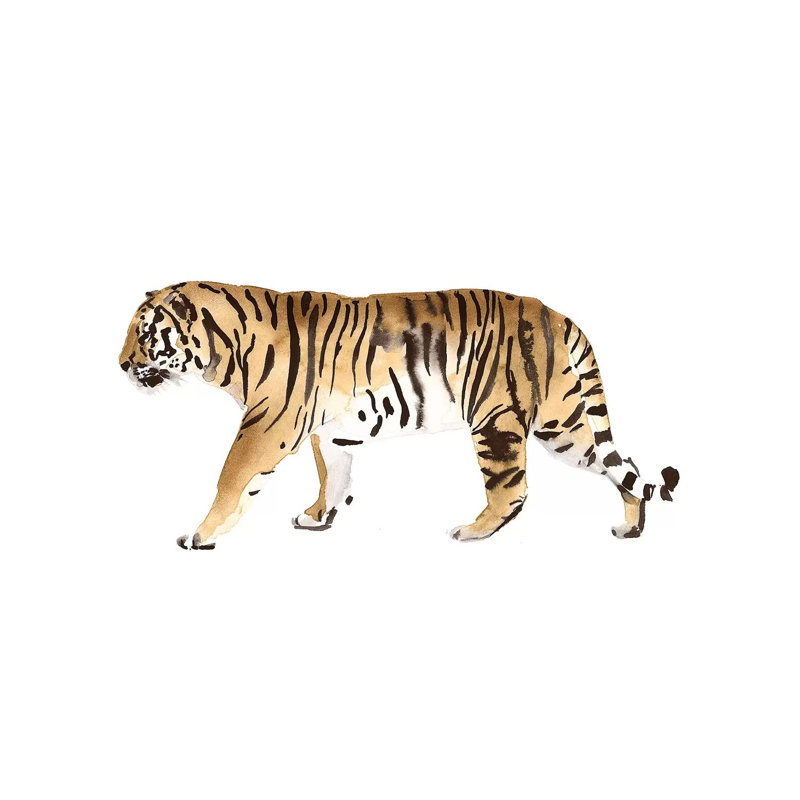 Watercolour Tiger III by Victoria Borges - Wrapped Canvas Gallery-Wrapped Canvas Giclée, 101.6 cm H x 66.04 cm W x 3.175 cm D