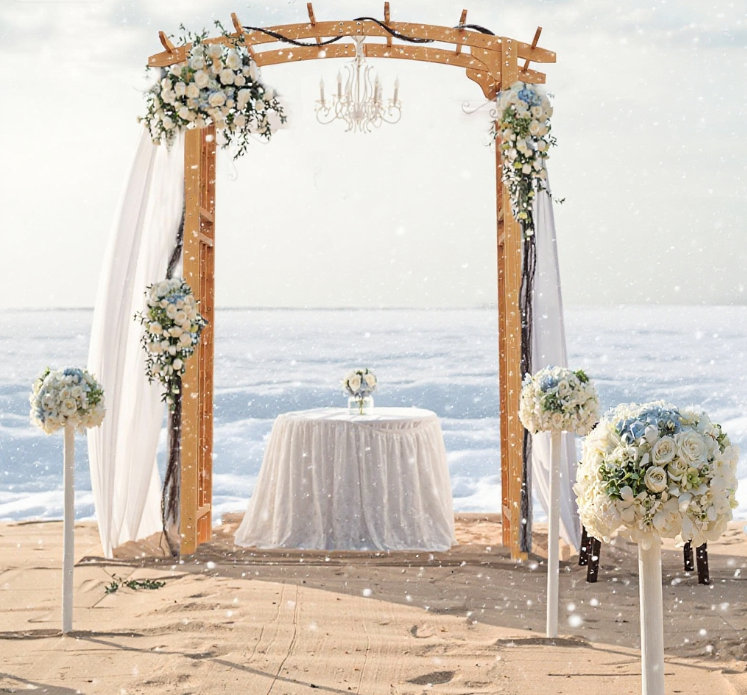 Treillis en bois de style pergola
