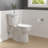 Transitional Elongated Toilet Seat Soft Close, White