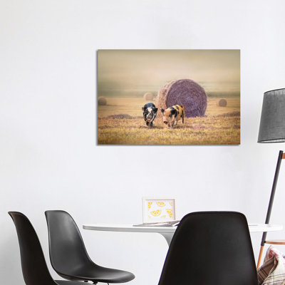 Piglets in Moring Fog 1 Piece Wrapped Canvas Wall Art