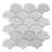 SCALLOPS MOSAIC POLISHED-43779362