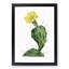 Flowering Prickly Pear Cactus - Framed Print-55576538-55576542