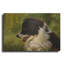 «Border Collie Garden» par John Silver