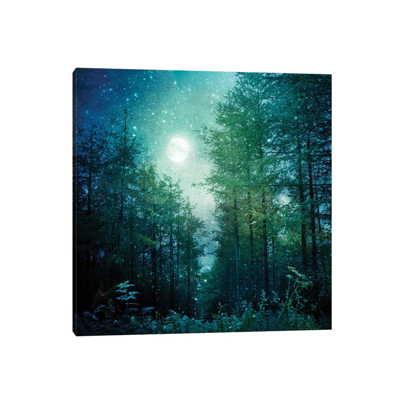 «Enchanted Forest» par Ros Berryman, reproduction de photo sur toile tendue, H 12 po x l 12 po x P 0,75 po