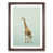 Walnut Framed is unavailable