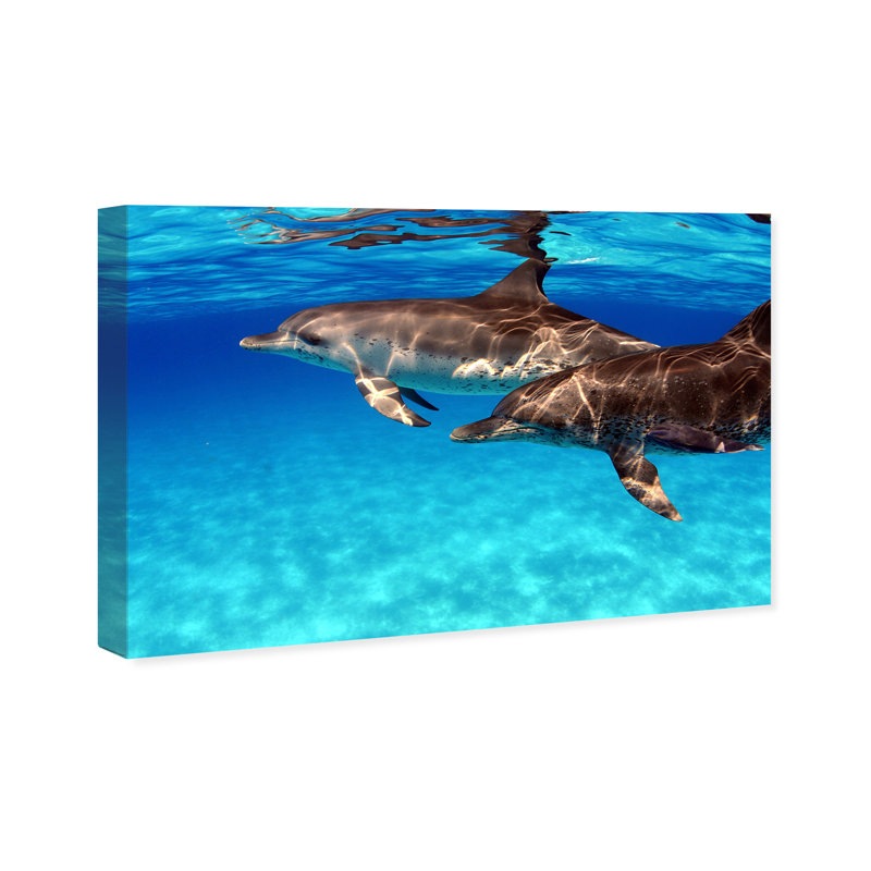 " Atlantic Spotted Dolphin " by David Fleetham, 10" H x 15" W x 1.5" D