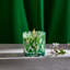 Star Jasmine Candle