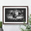 Lion Vol.5 - Picture Frame Graphic Art-62802653-62802656