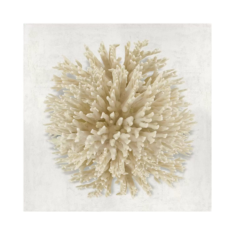 Coral Cream I by Caroline Kelly - Wrapped Canvas Print, 30.48 cm H x 30.48 cm W, Yellow/Beige